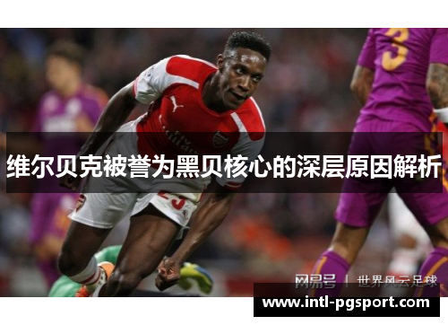 维尔贝克被誉为黑贝核心的深层原因解析