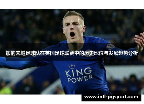 加的夫城足球队在英国足球联赛中的历史地位与发展趋势分析